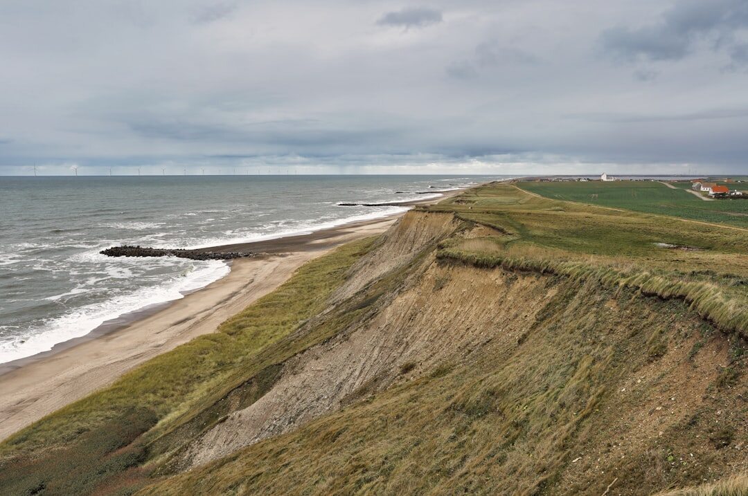 Coastal dunes and beach grass on the Danish coastline